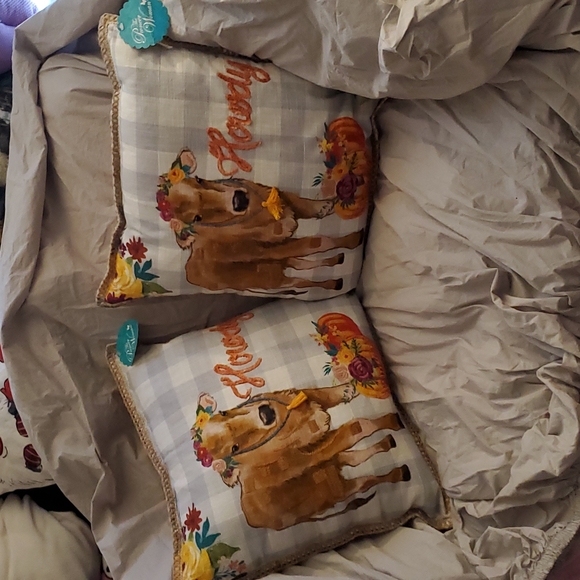 The Pioneer Woman Accents The Pioneer Woman Howdy Cow Pillows